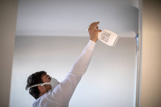 Best Black Mold Remediation in Carrollton, MO