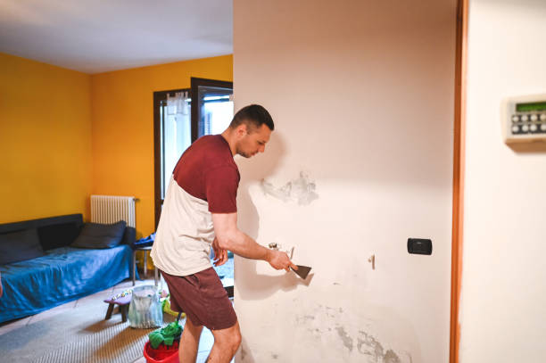 Best Mold Testing and Inspection Services in Carrollton, MO